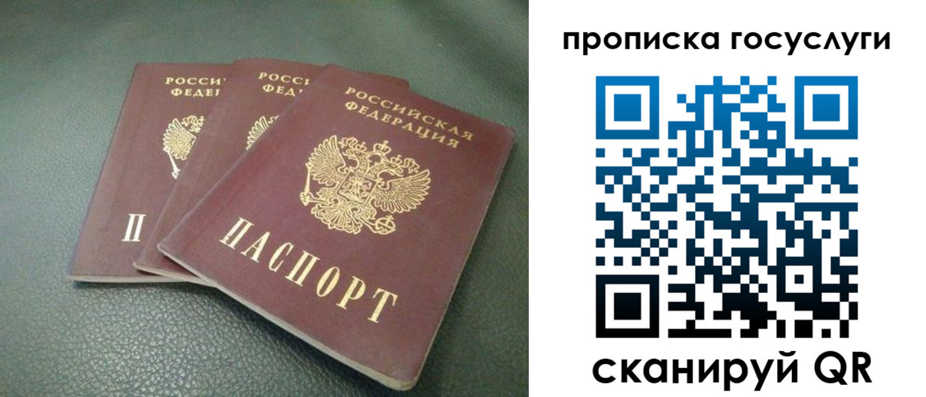 временная регистрация госуслуги в Сольцах